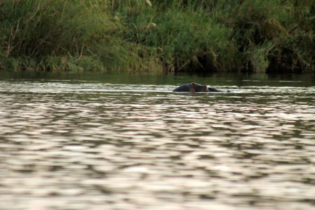 Camp Hogo Kavango Рунду Екстериор снимка