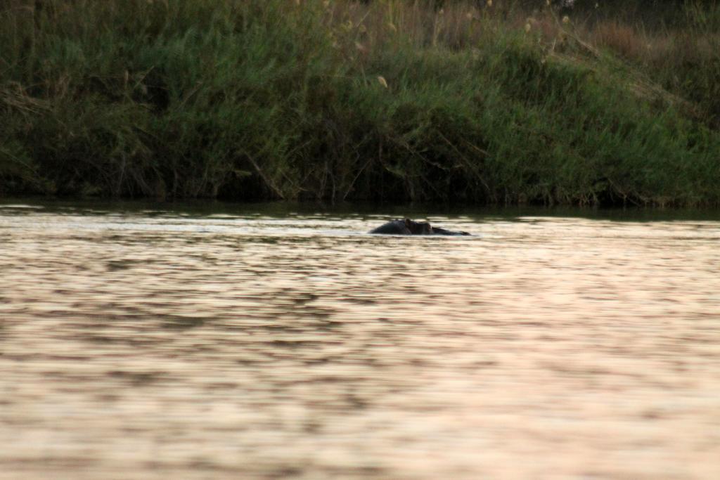 Camp Hogo Kavango Рунду Екстериор снимка