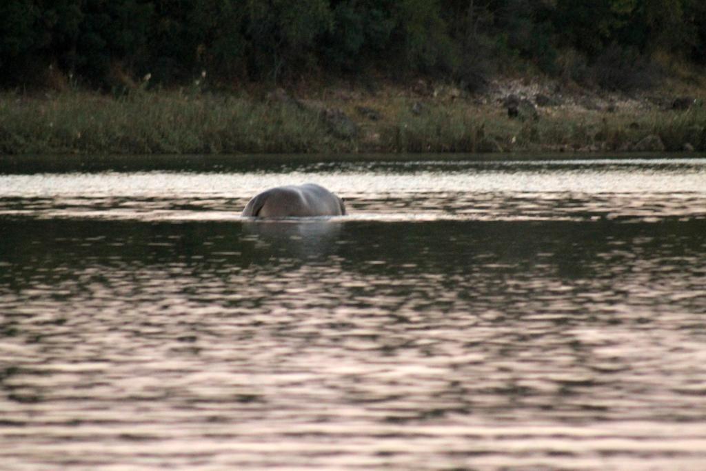 Camp Hogo Kavango Рунду Екстериор снимка